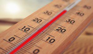 La delegación municipal de Salud pone en marcha la campaña “Frente al Calor”