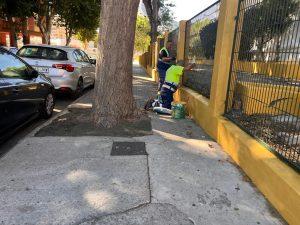 Educación realiza obras de mantenimiento, saneamiento, fumigación y mejora de jardinería en distintos centros educativos