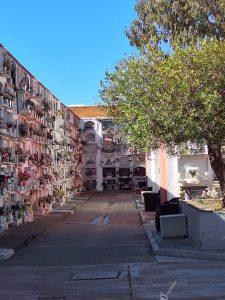 El Ayuntamiento ejecuta trabajos de acondicionamiento en el Cementerio de San José de cara a la festividad de Todos los Santos y los Fieles Difuntos