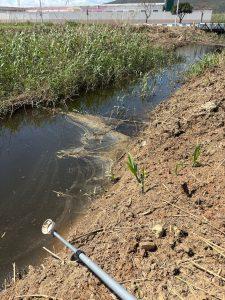El Ayuntamiento de La Línea refuerza la prevención y el control de mosquitos durante la primavera