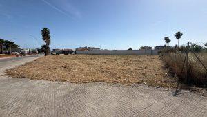El Ayuntamiento intensifica los trabajos preventivos de desbroce y limpieza ante el incremento de las temperaturas