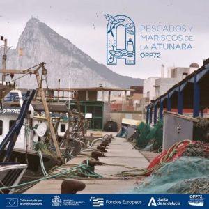 La ciudad celebra por segundo año consecutivo las “II Jornadas de Pescados y Mariscos de La Atunara”